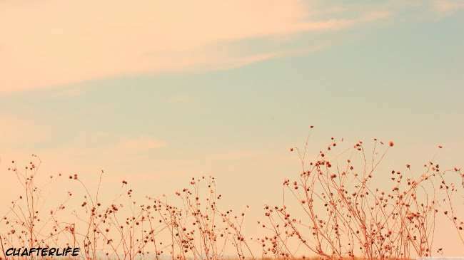 the story of a girl with sanpaku eyes chapter 25 2