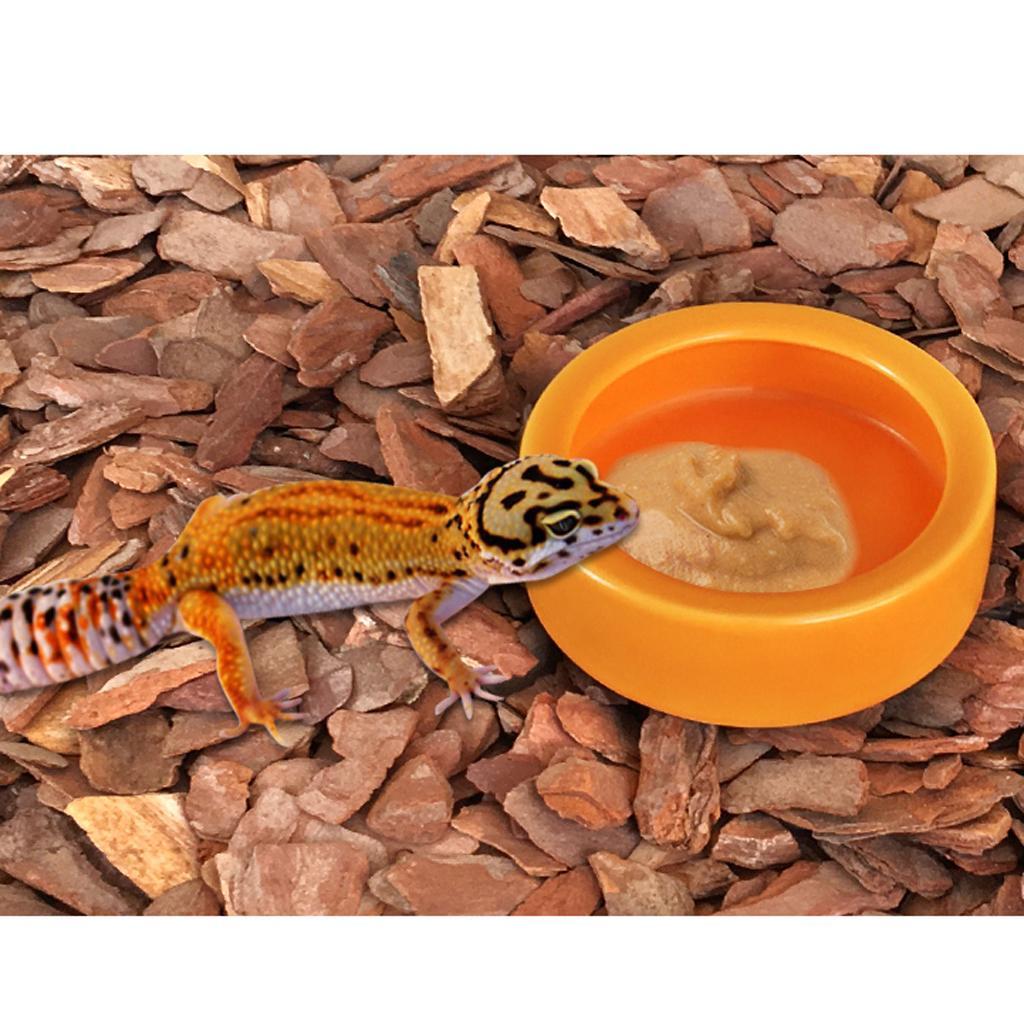 4Pcs Ceramic Reptile Feeding Worm Dish Food Water Bowl for Reptile