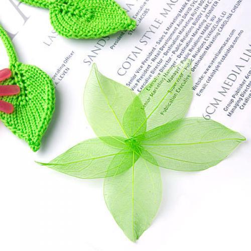 100 Pieces Natural Plant Leaves for Craft Cards Scrapbooking Bookmark DIY