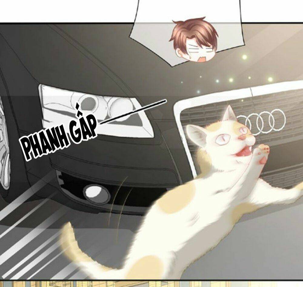 tiệm may luyến sắc chapter 23.2 8