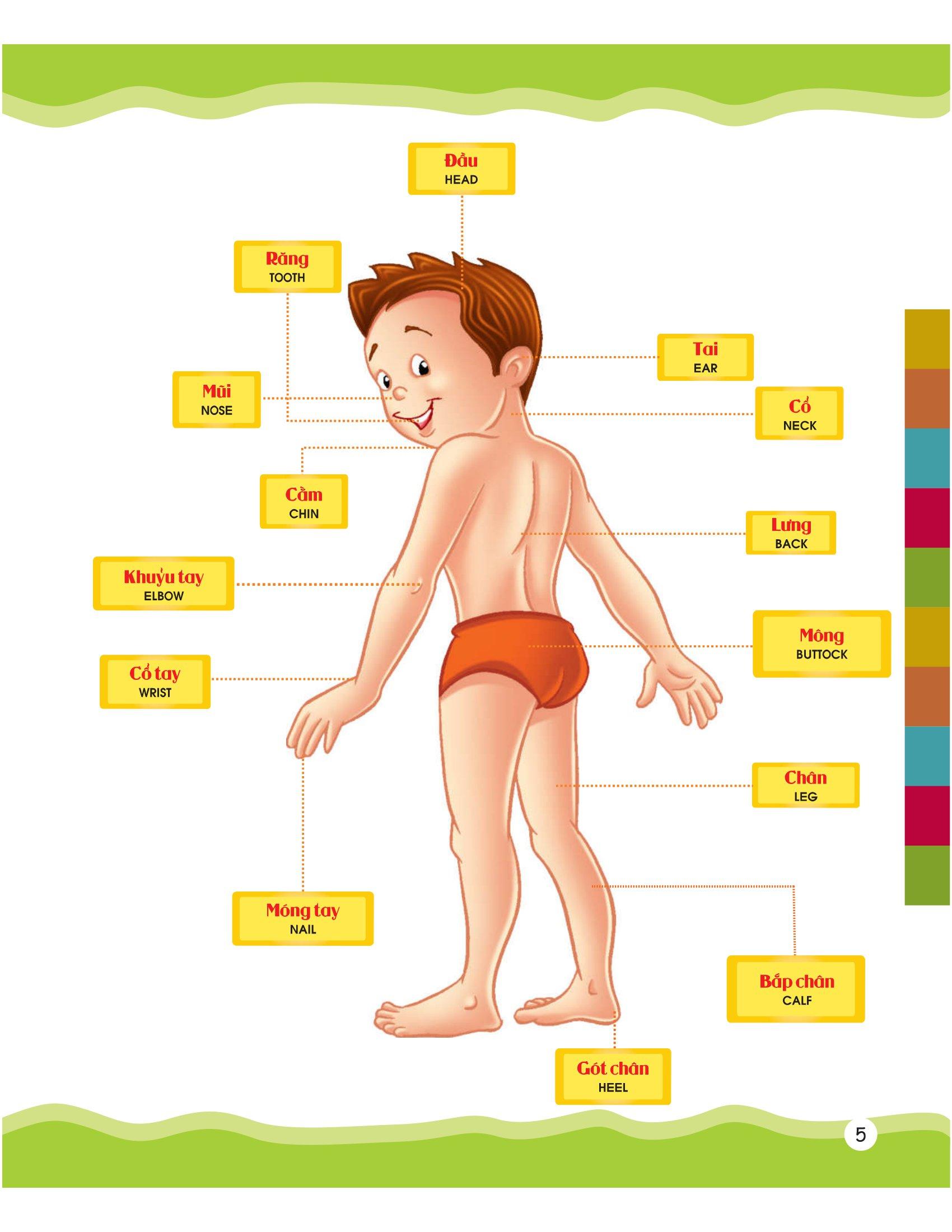 Từ Điển Bằng Hình Của Tôi - Em Thích Miêu Tả (Dành Cho Trẻ 4-6 Tuổi) (Bìa Mềm)