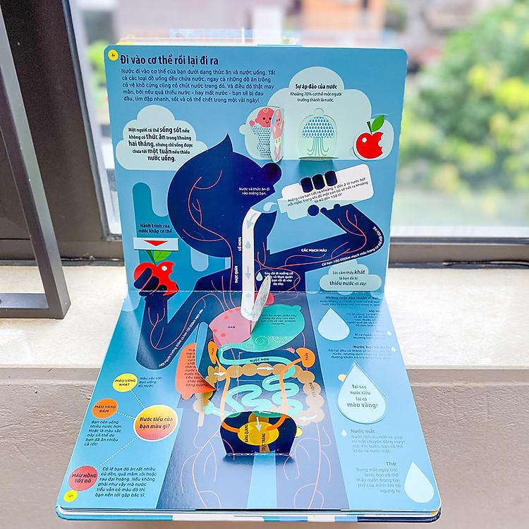 Sách Tớ yêu khoa học - The adventure of water
