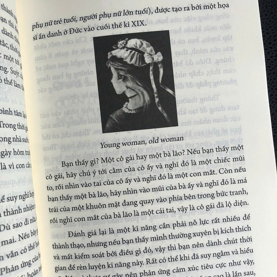 Sách Sức Mạnh Của Cảm Xúc Trong Công Việc