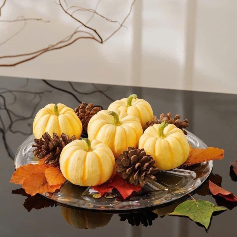 ĐĨA PHA LÊ BOHEMIA HOA VĂN MÀI 34CM Hàng chính hãng