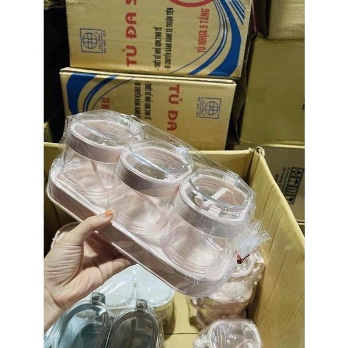 Set 3 Hũ Đựng Gia Vị HOKORI Kèm Muỗng và Khay- Dung Tích 700ml