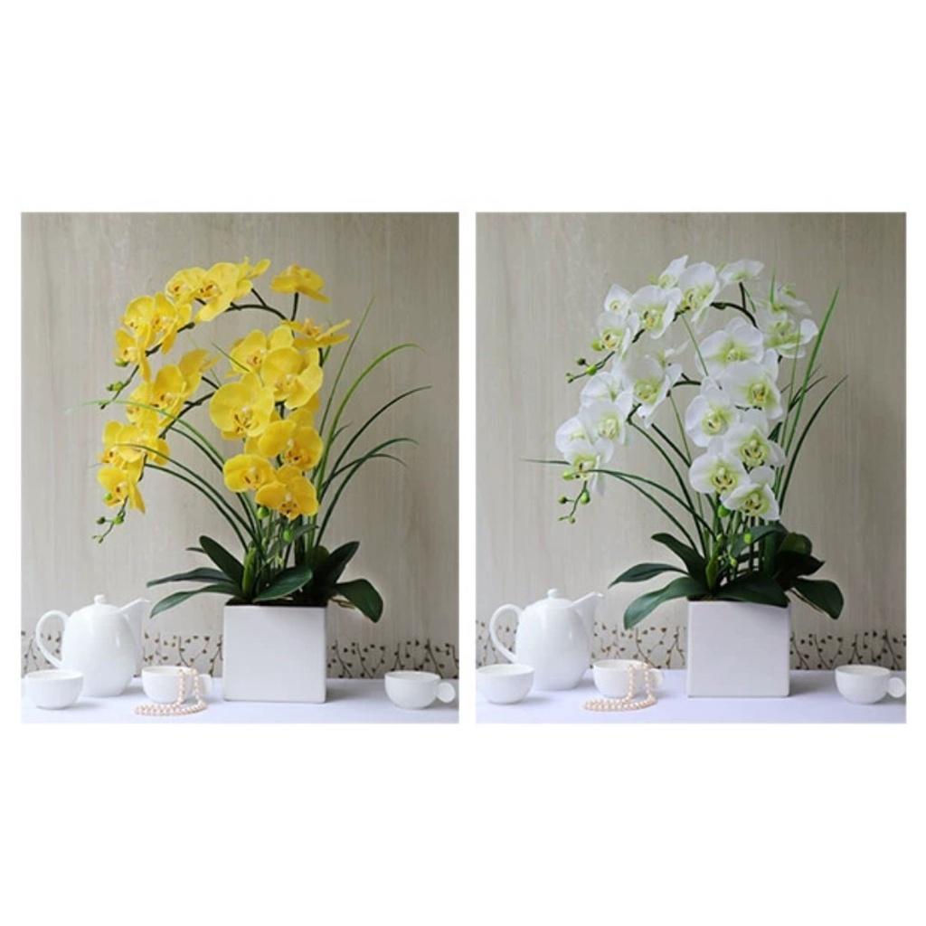 Hoa giả, bình hoa lan hồ điệp đẹp giống thật để bàn trang trí nhà cửa sang trọng Flowermini LD-03