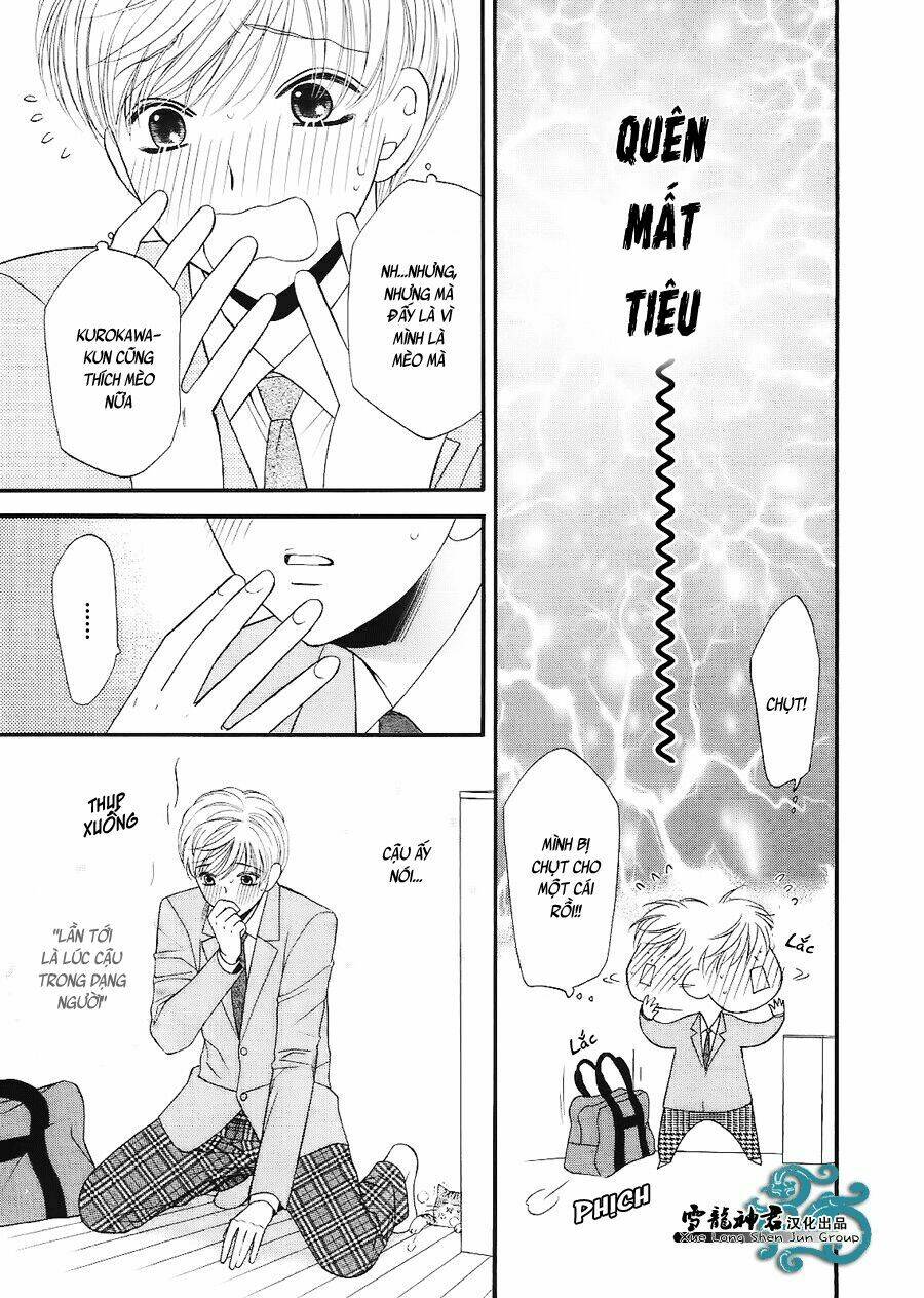 neko neko honey chapter 7 16