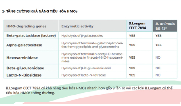 Men vi sinh tăng cường khả năng tiêu hóa HMOs