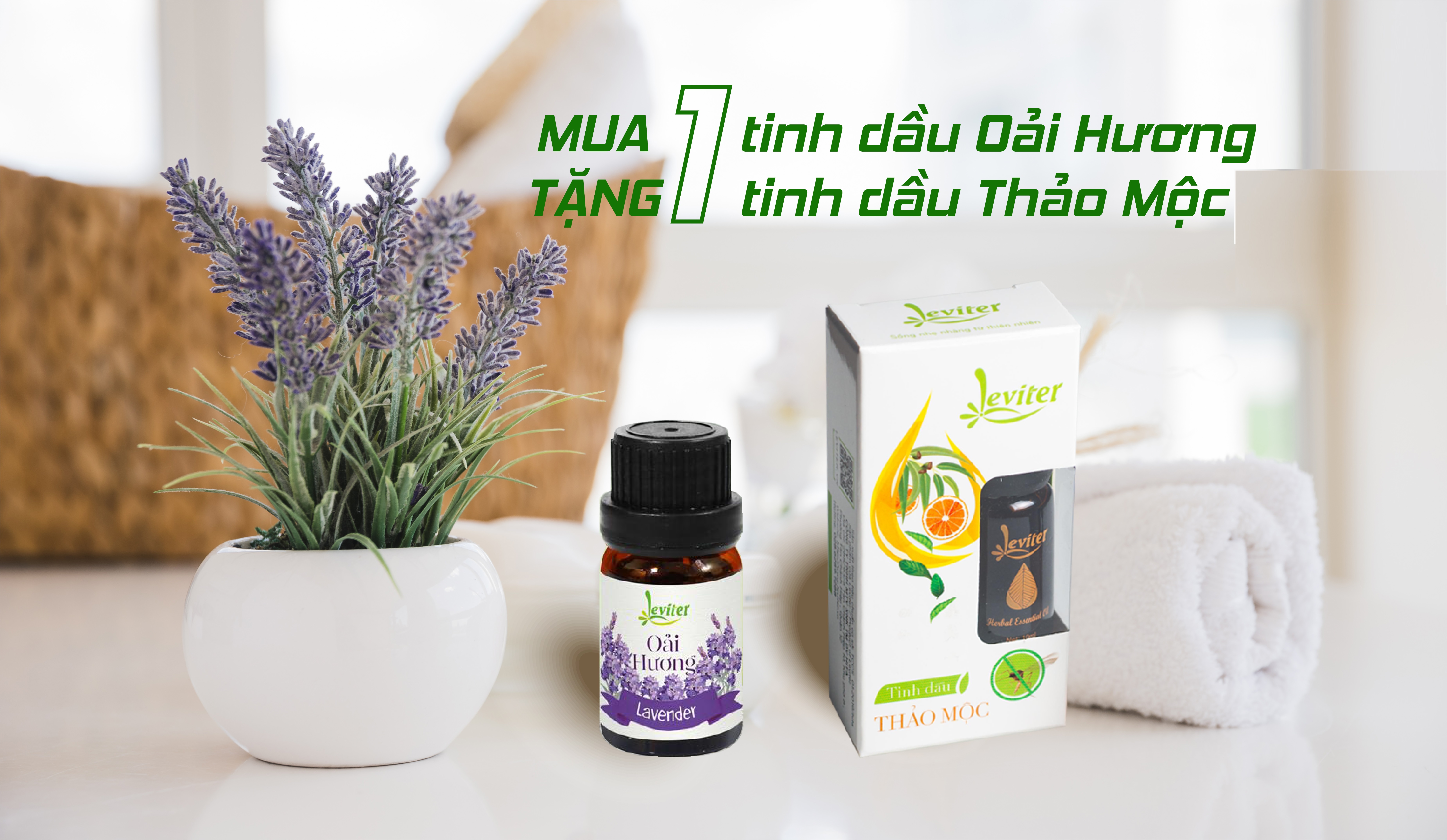 Tinh Dầu Oải Hương Leviter 10ml Tặng Kèm Tinh Dầu Thảo Mộc Đuổi Muỗi (10ml x 2 chai)