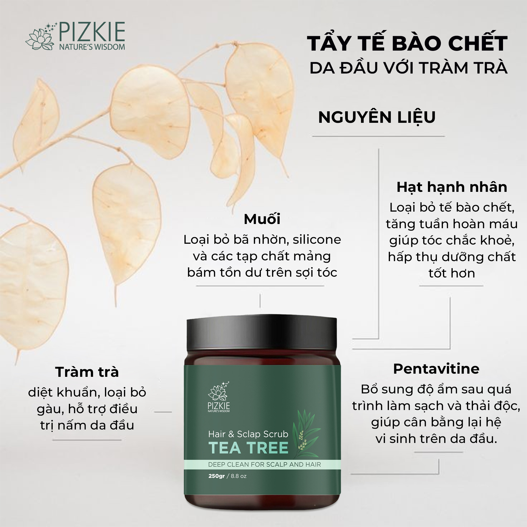 Muối tẩy tế bào chết da đầu tràm trà Pizkie 250gr lâu bết sạch gàu, sạch nhờ da đầu, hỗ trợ mọc tóc