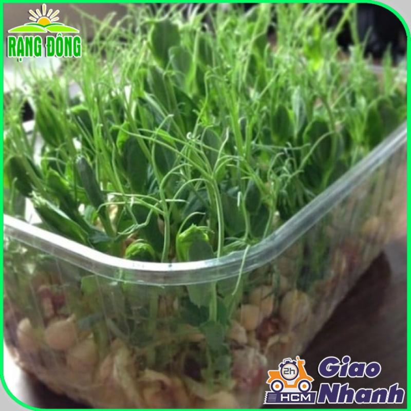 Hạt giống Rau Mầm Đậu Hà Lan Dễ Trồng, Thơm, Ngọt (gói 50 gram) - Hạt Giống Rạng Đông