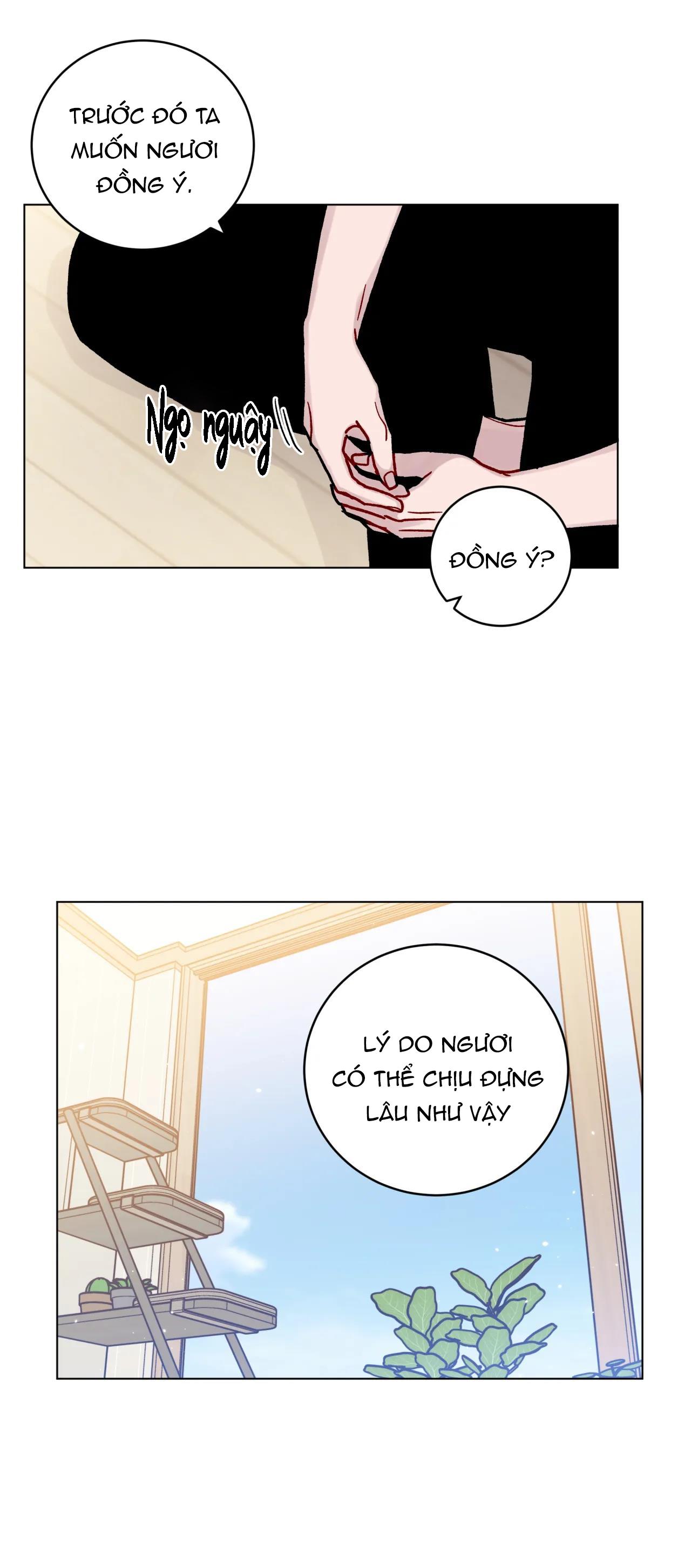 cơn mưa rào mùa hạ chapter 13 19