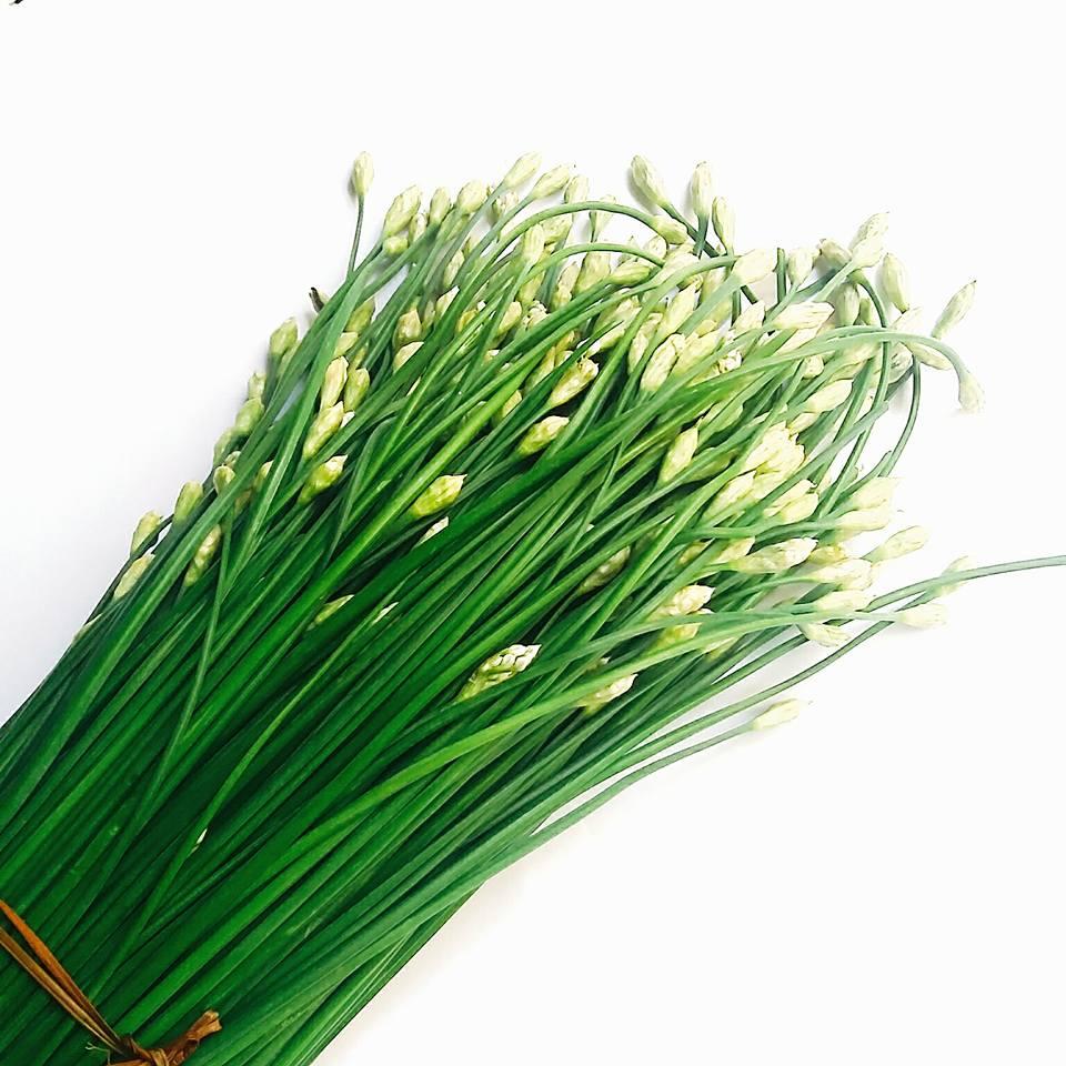 Hạt giống rau hẹ ăn bông CT133 - Gói 2gram