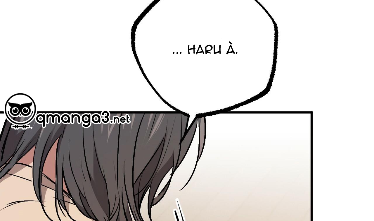 đàn thỏ của habibi chapter 45 171