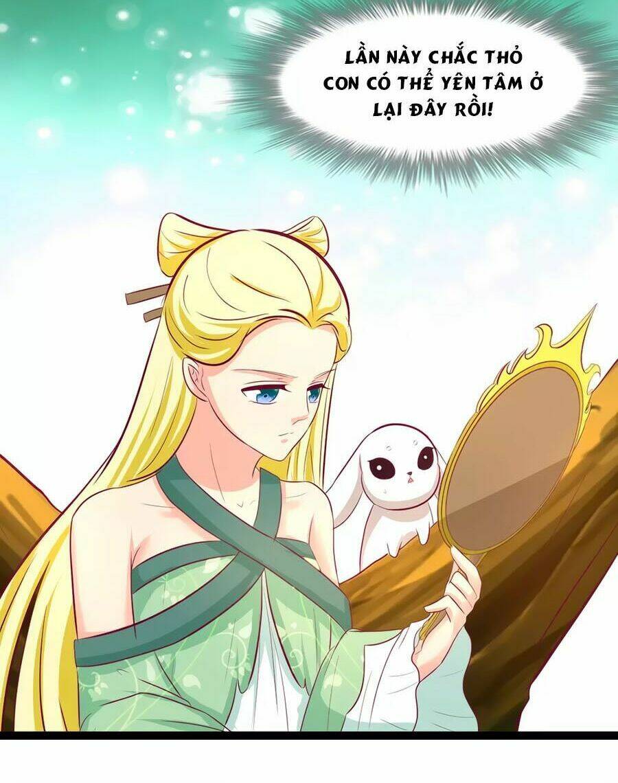 thỏ yêu tiểu vương phi chapter 94 35