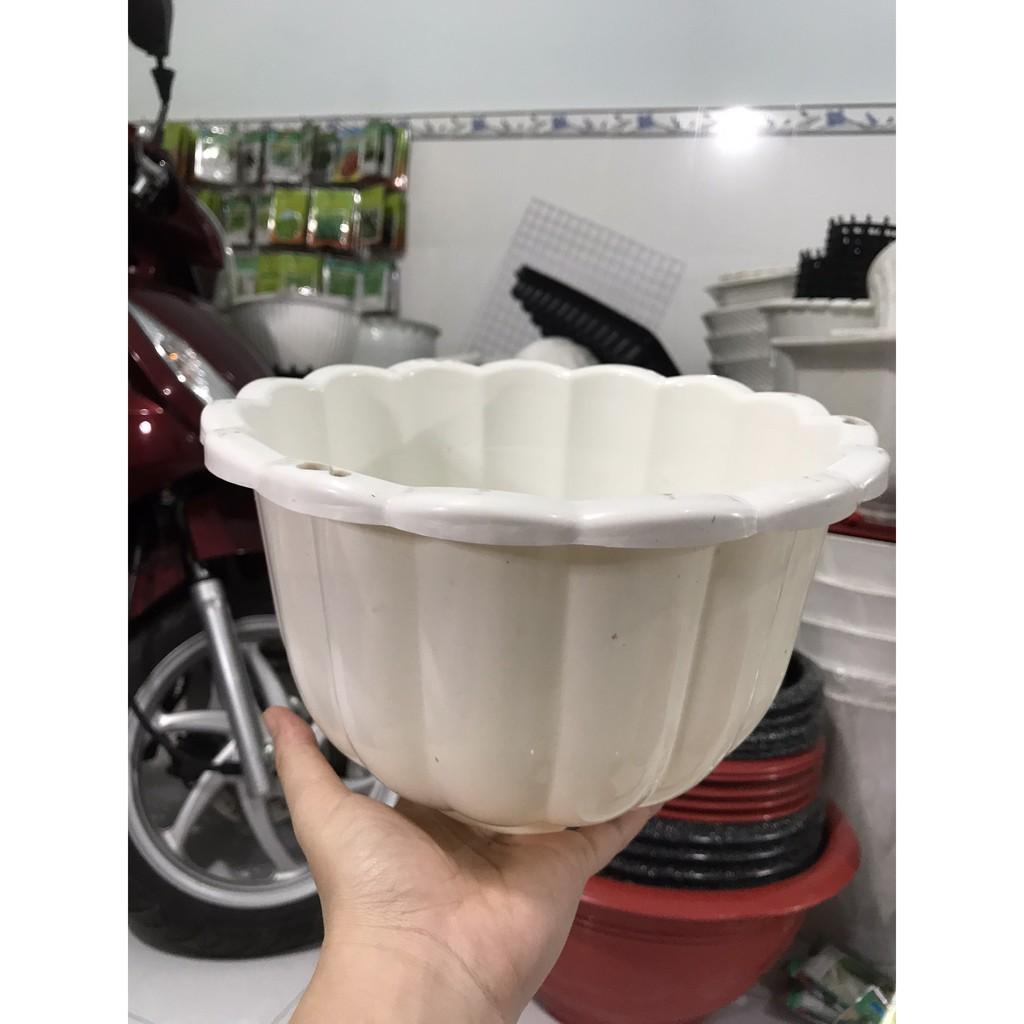 Chậu treo bí size lớn 22cm x15cm - tặng kèm dây treo