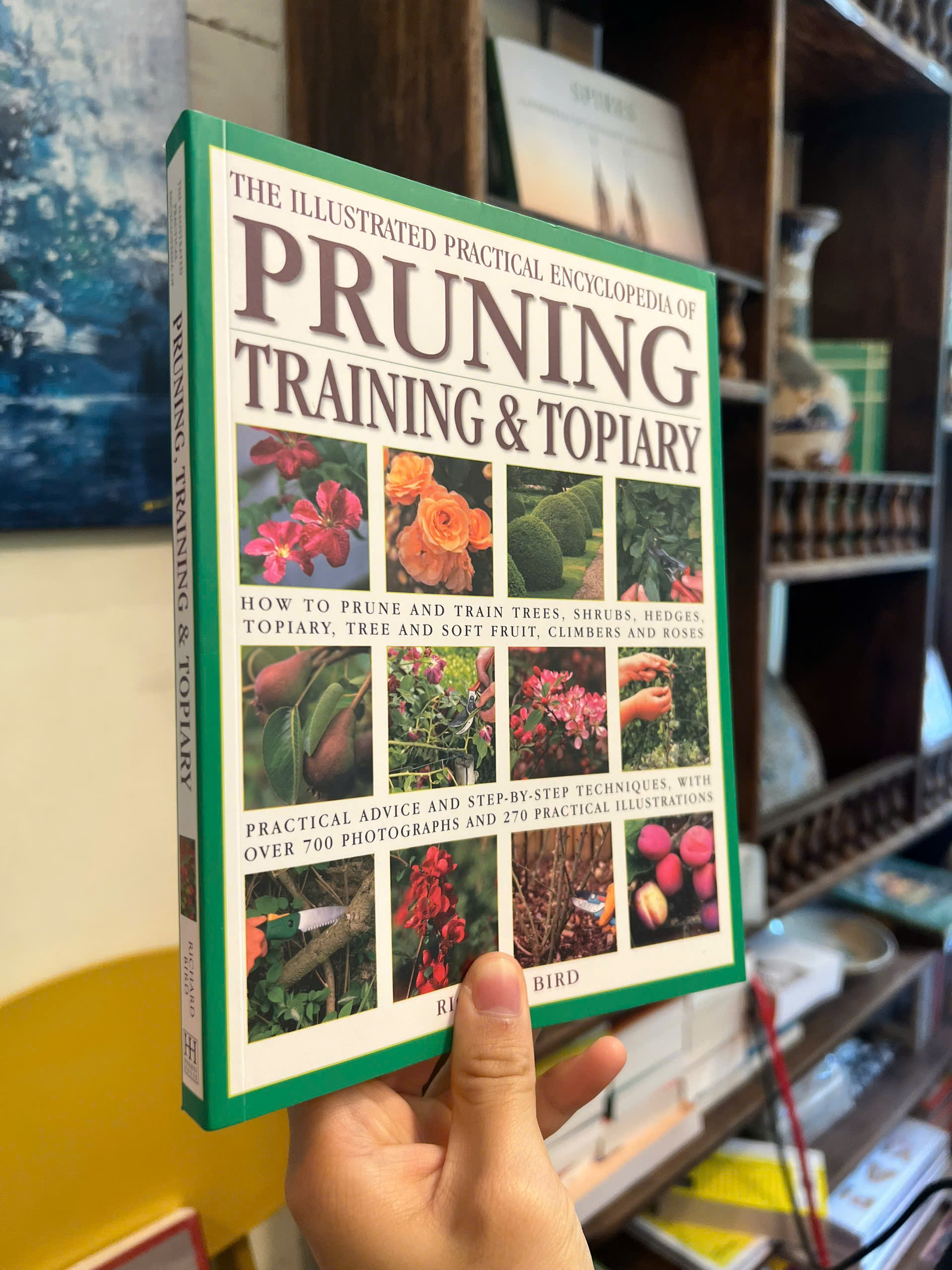 Sách - Illustrated Practical Encyclopedia of Pruning, Training & Topiary | Làm vườn / Nhập khẩu