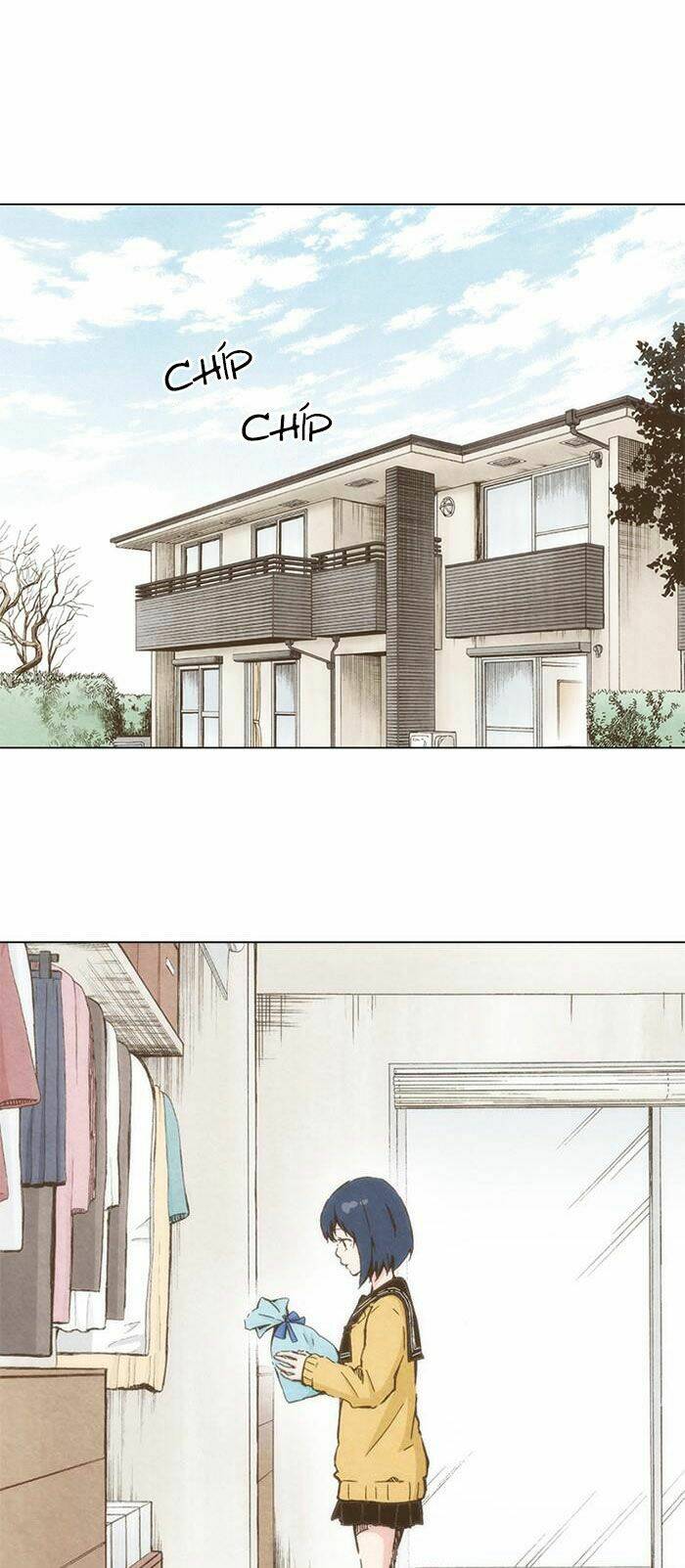 marry me! chapter 63 22