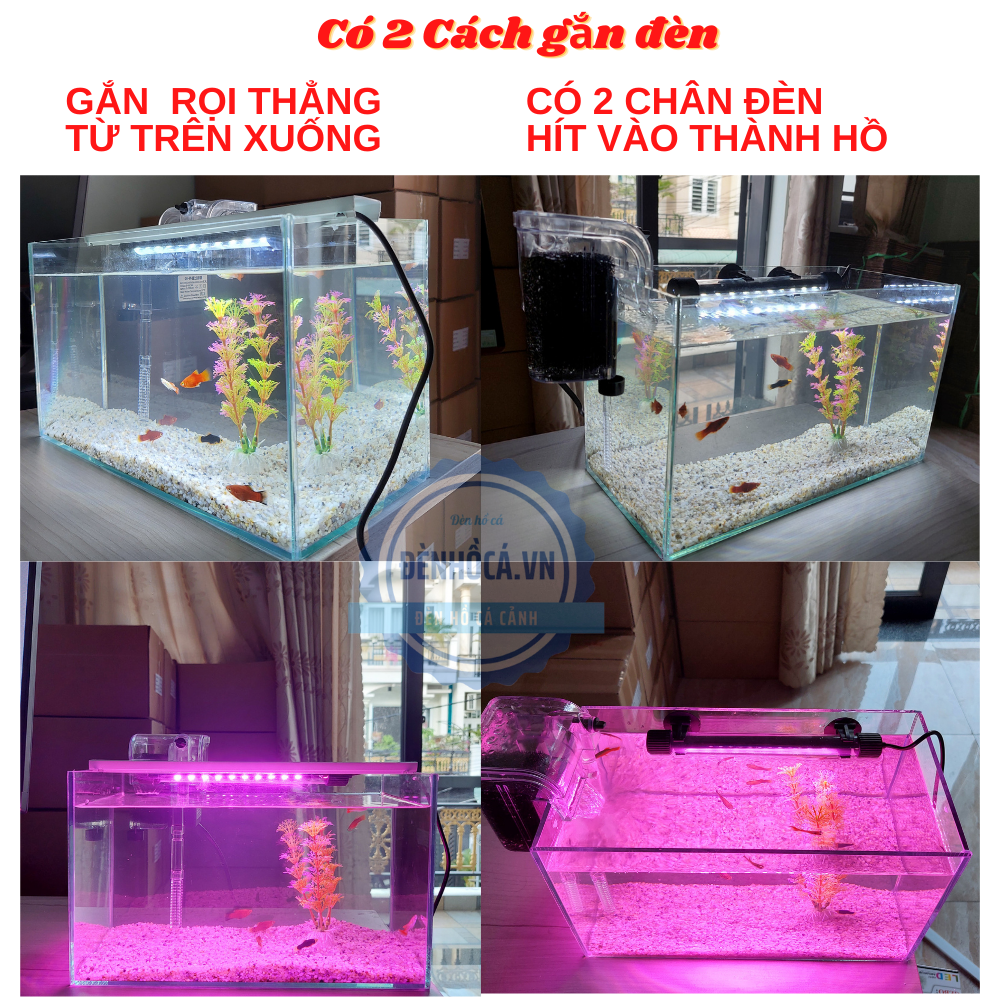 Bể cá mini để bàn COMBO PINK - C20 giá rẻ đầy đủ phụ kiện