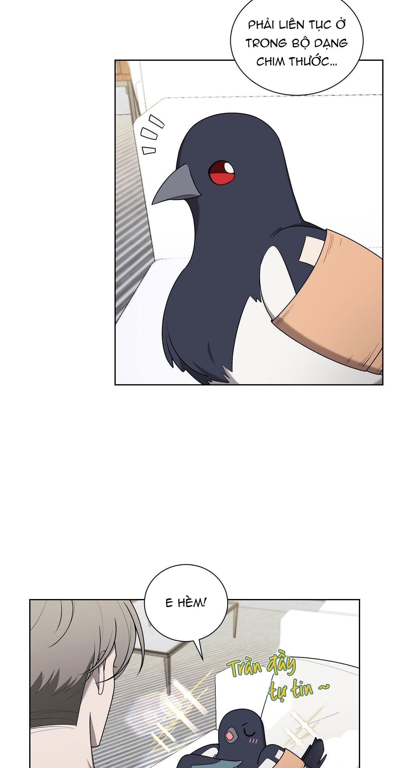 khi chim thước đến chapter 19 4