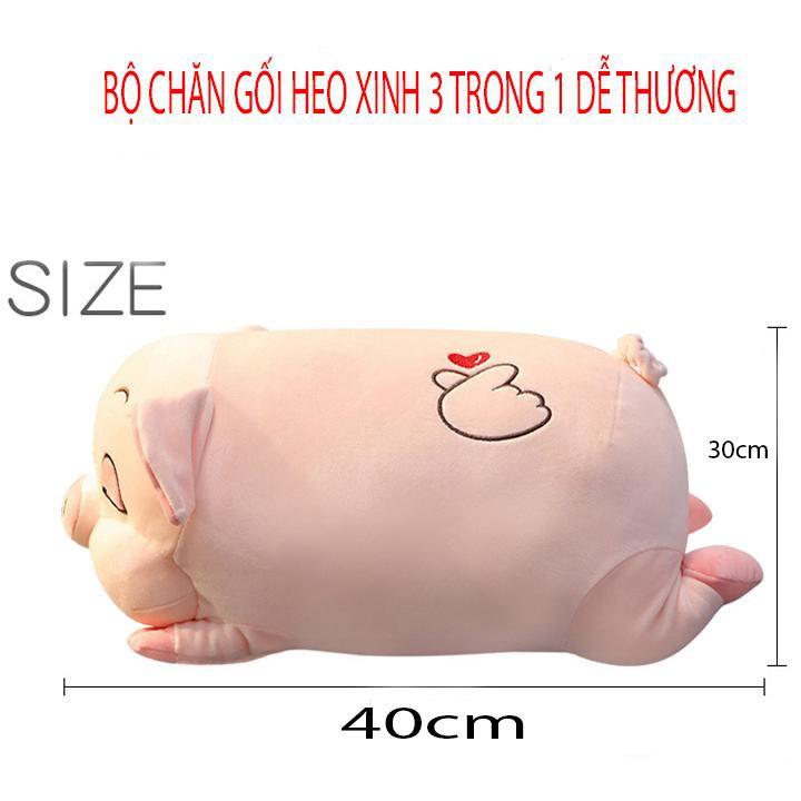 Bộ Chăn + Gối Văn Phòng Hình Heo -