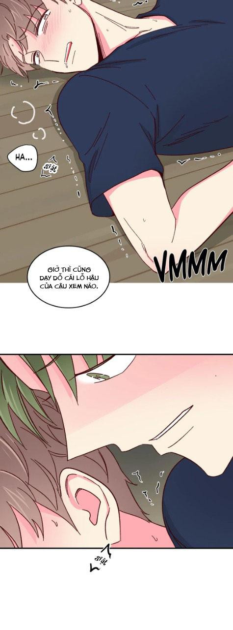 món tráng miệng của sếp tổng chapter 53 13