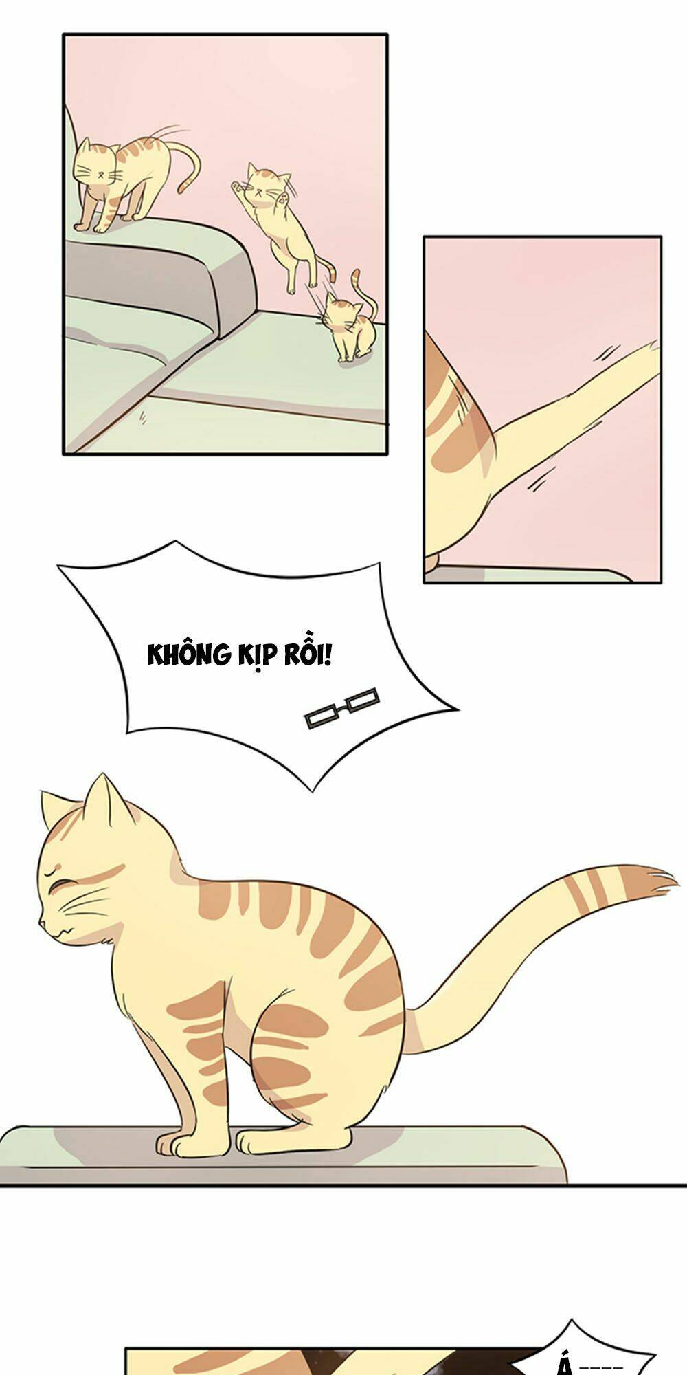 hai chú mèo totem chapter 15 15