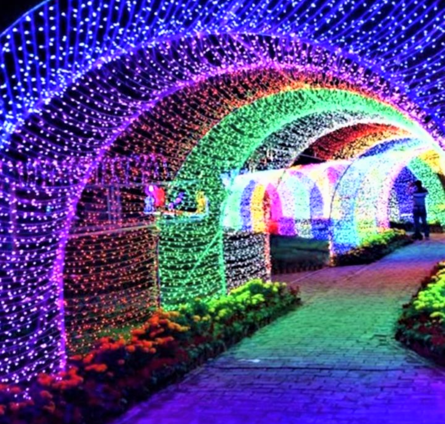 SIÊU GIÁ VỚI CUỘN DÂY LED TRANG TRÍ NHẤP NHÁY NHIỀU MÀU DÀI 50M ĐIỆN VAC 220V LOẠI TỐT ĐẸP