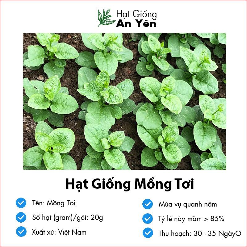 Hạt giống Mồng Tơi thu hoạch sớm, dễ trồng, nảy mầm cao, sinh trưởng khoẻ