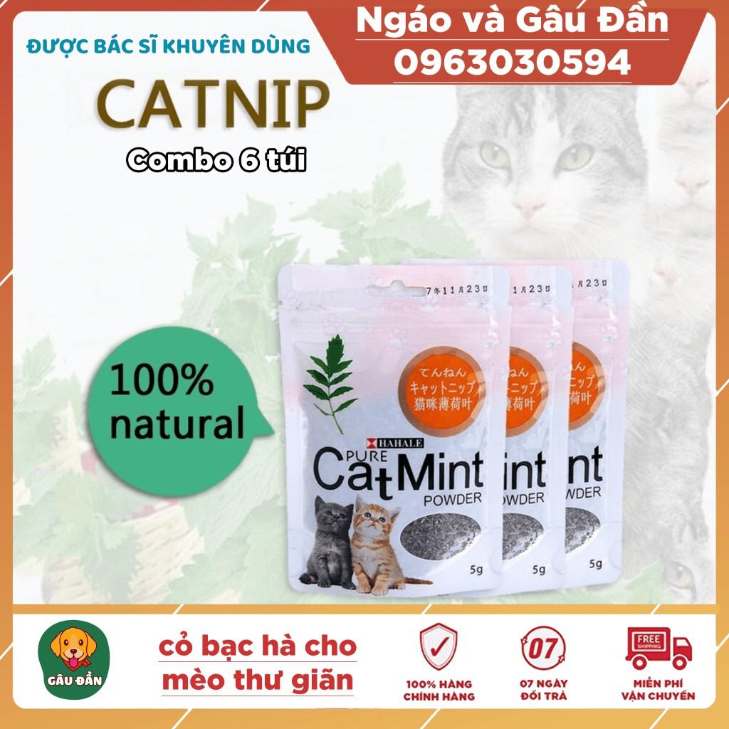 Combo 6 Túi Cỏ bạc hà catnip cho mèo thư giãn Ngáo Và Gâu Đần - Catnip khô cho mèo - Bạc hà cho mèo