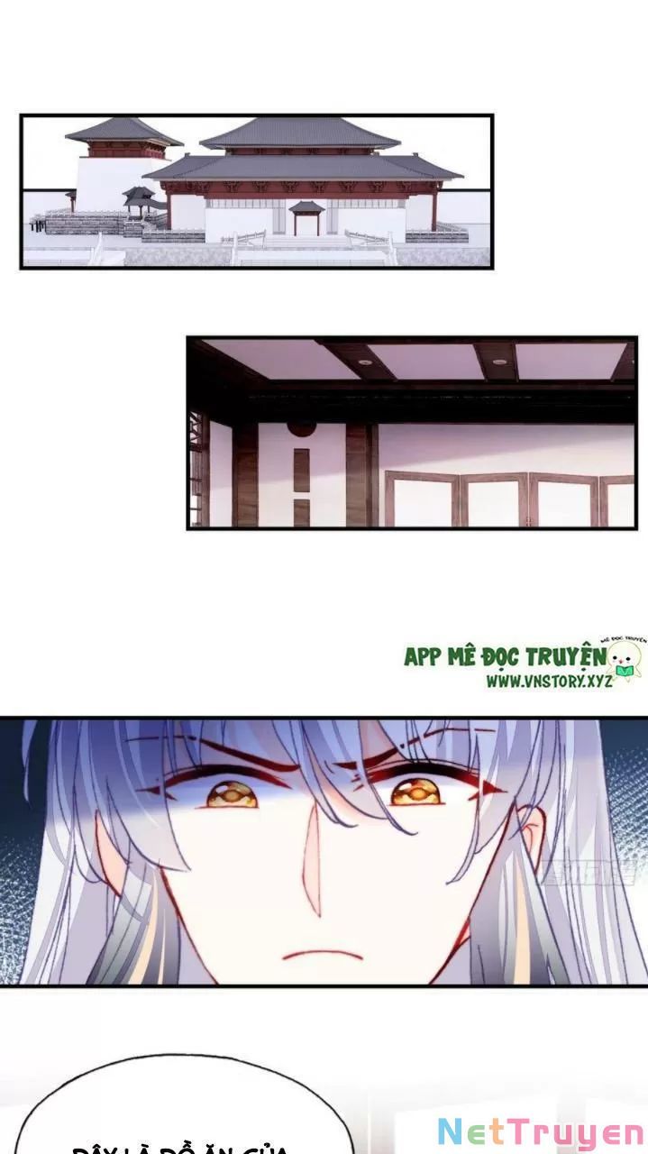 lại bị bệnh chiều chuộng quấn lấy chapter 36 21