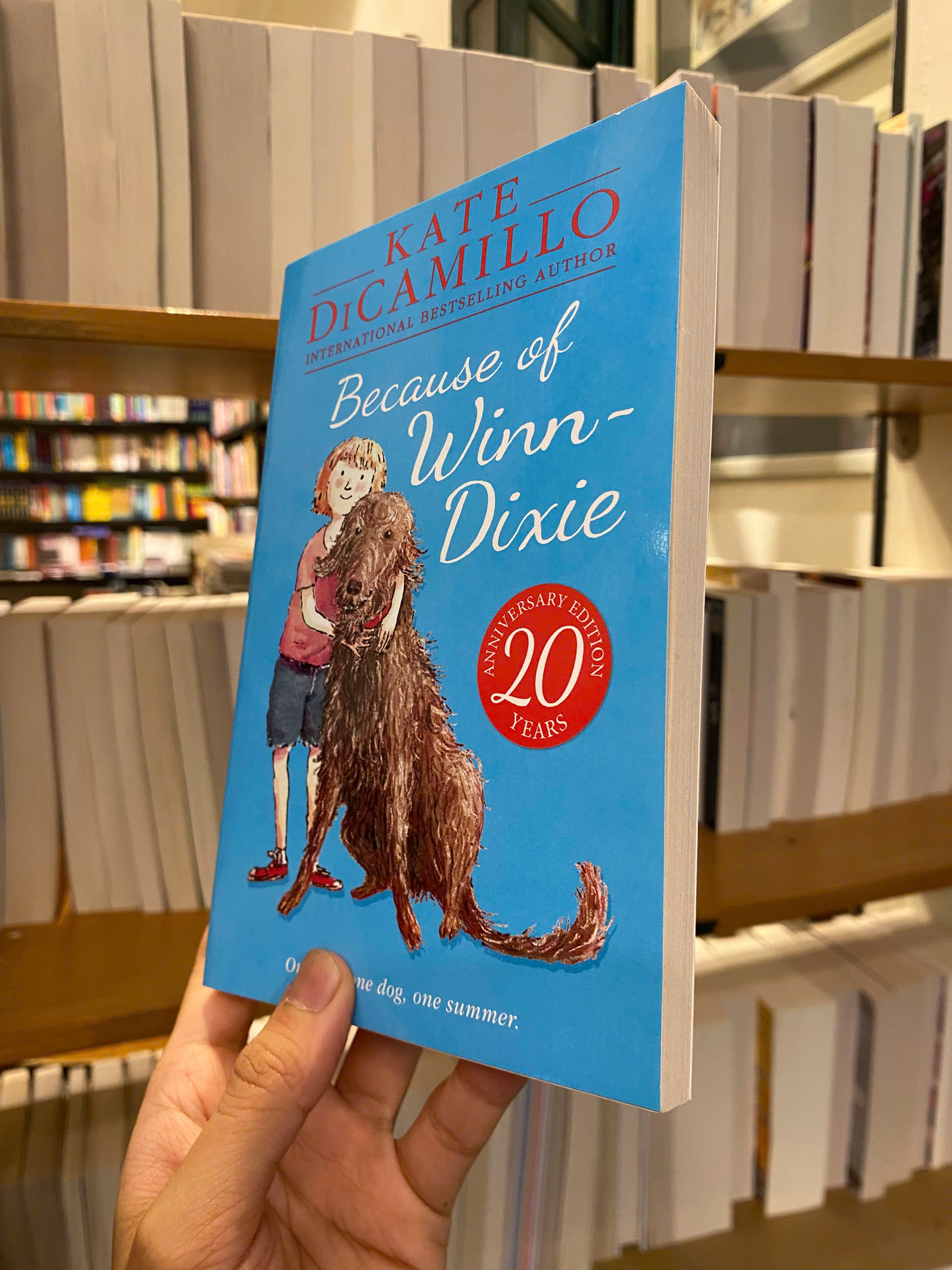 Sách - Because of Winn Dixie by Kate DiCamillo - Fiction/Childrens book in English - Ngoại Văn