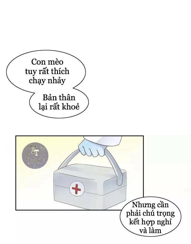 dưới móng vuốt mèo chapter 19 14