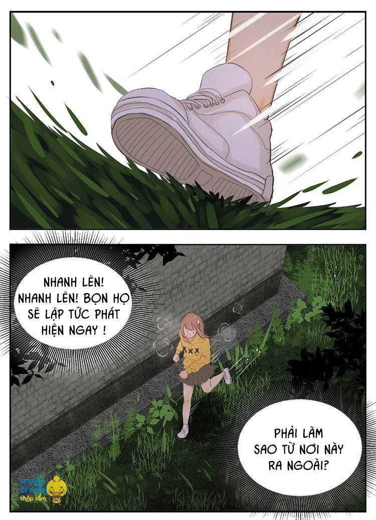 cứu mạng ! loài mèo thống trị thế giới rồi ! chapter 18 22