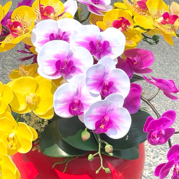 Chậu Hoa LAN HỒ ĐIỆP 8 Nhánh cao su nhân tạo trang trí nhà cửa