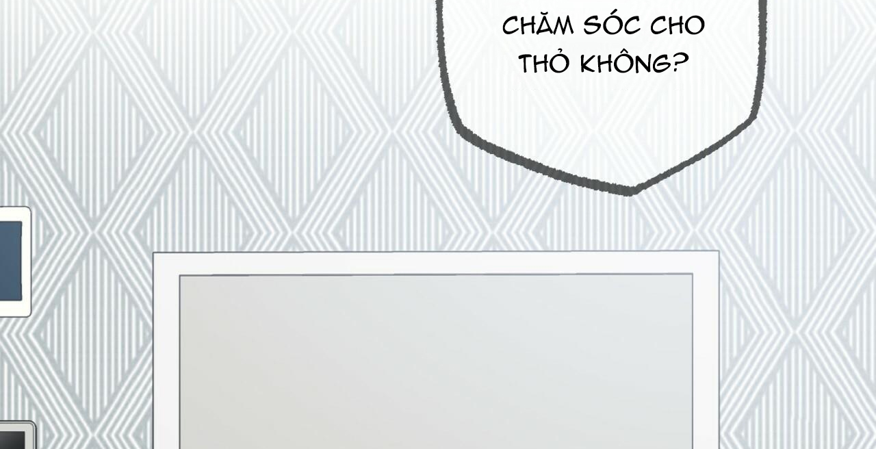 đàn thỏ của habibi chapter 36 76