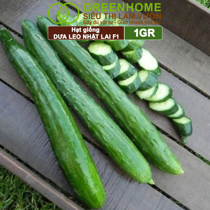 Hạt Giống Dưa Leo Nhật Lai F1 Greenhome, Gói 1GR, Dễ Trồng Quanh Năm, Nảy Mầm Cao, T24