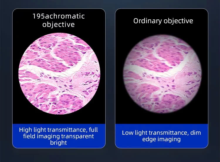 Kính hiển vi hai mắt cao cấp soi tinh trùng, vi khuẩn, tế bào Terino XS22-LCD (phóng đại 40x-2000x, màn hình HD 9 inch) - Hàng chính hãng