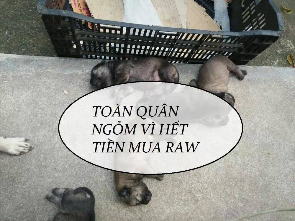 độc phi thần y quá kiêu ngạo chapter 68 52