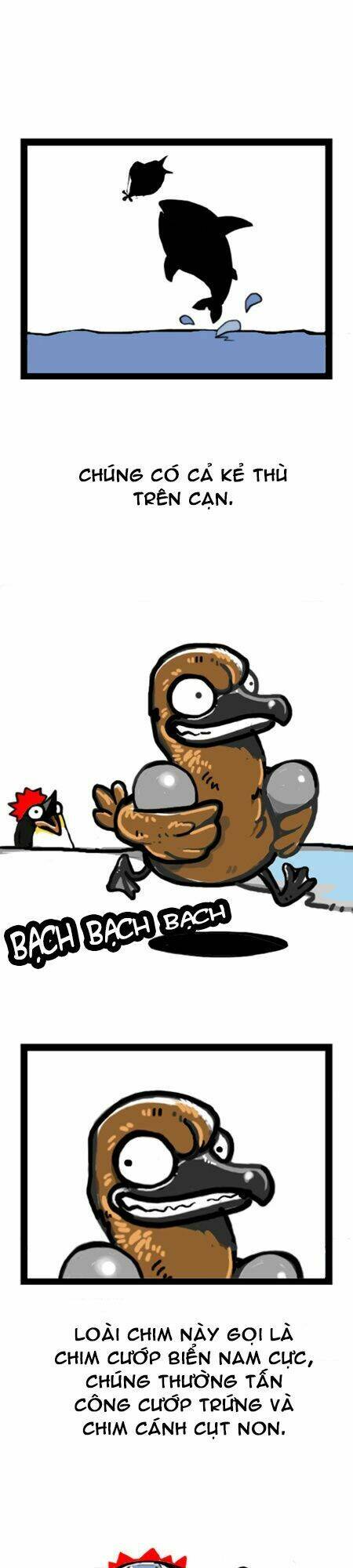 earth, human, and animal chapter 7 9