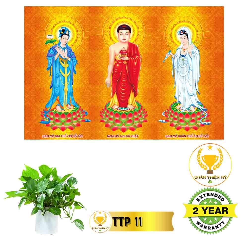Tranh điện Tam Thế Phật_TTP2