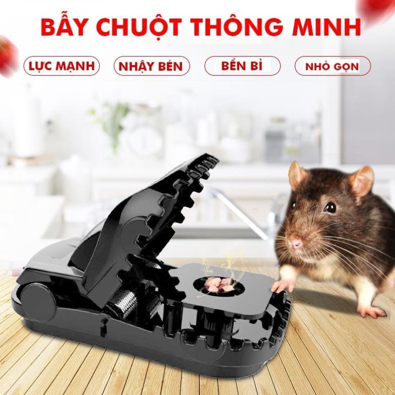 Dụng cụ bẫy chuột thông minh