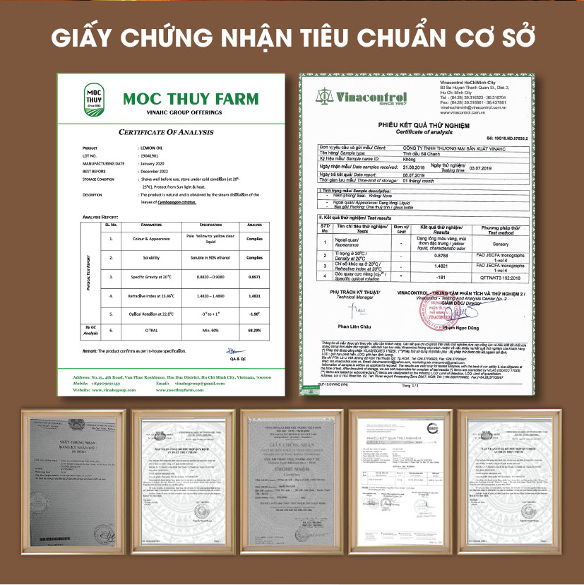 Tinh Dầu Quýt Homer 100ml - Chính Hãng, Đạt Chuẩn Kiểm Định Cao Cấp - Tinh Dầu Xông Thơm Phòng, Thư Giãn, Khử Mùi hiệu quả