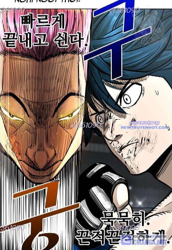 shark - cá mập chapter 278 8