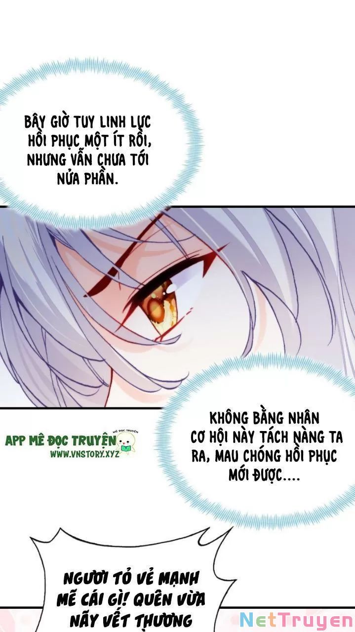 lại bị bệnh chiều chuộng quấn lấy chapter 21 25