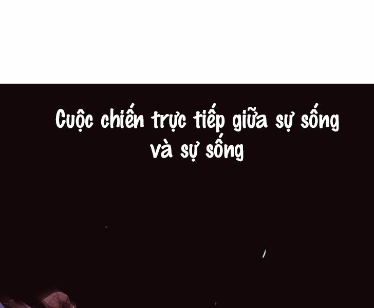 Võ Sĩ Quyền Anh chapter 88 197