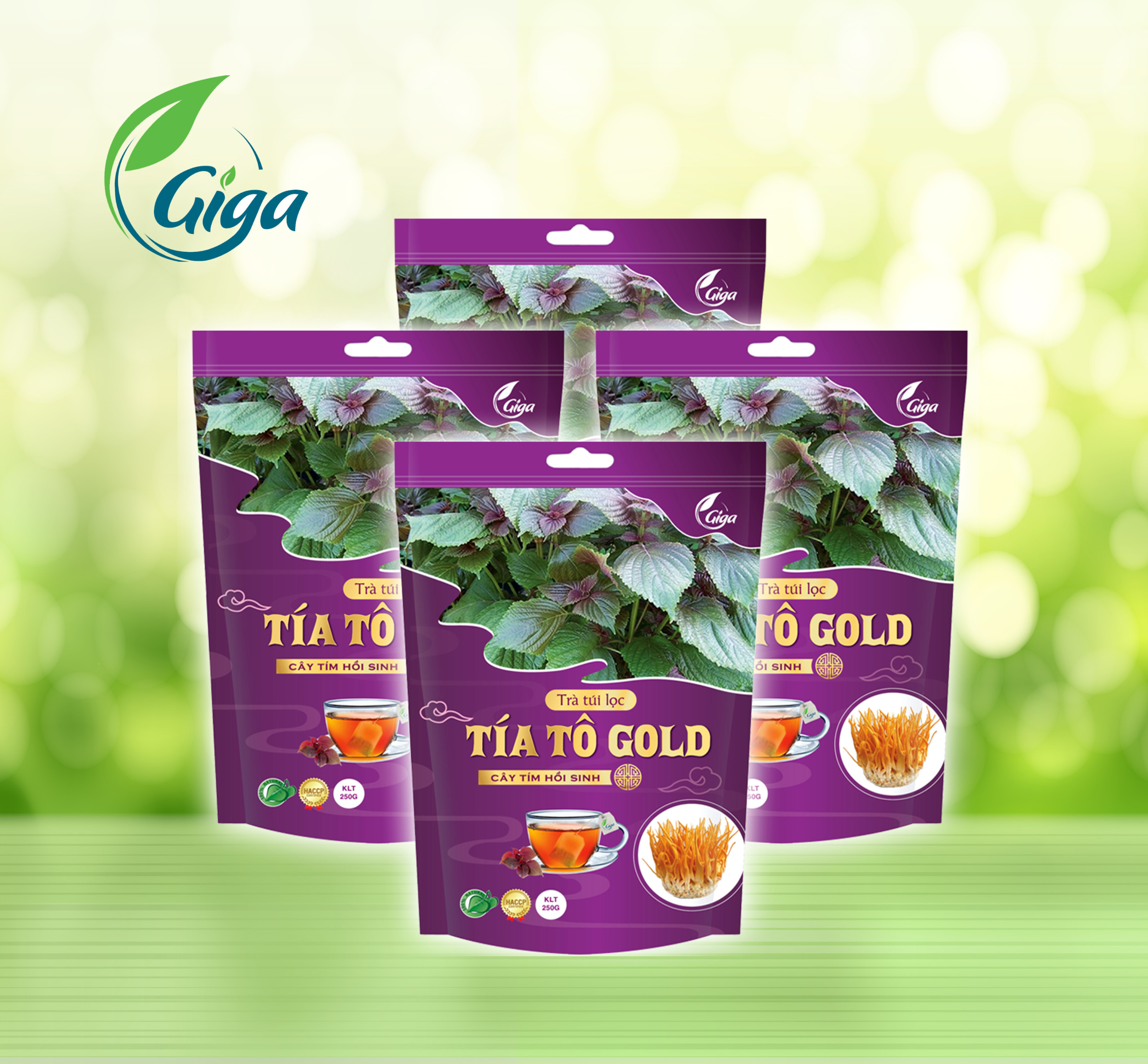 Combo 1kg Trà Túi Lọc Tía Tô Gold Giga - Giúp Thanh Nhiệt Giải Độc Mát Gann