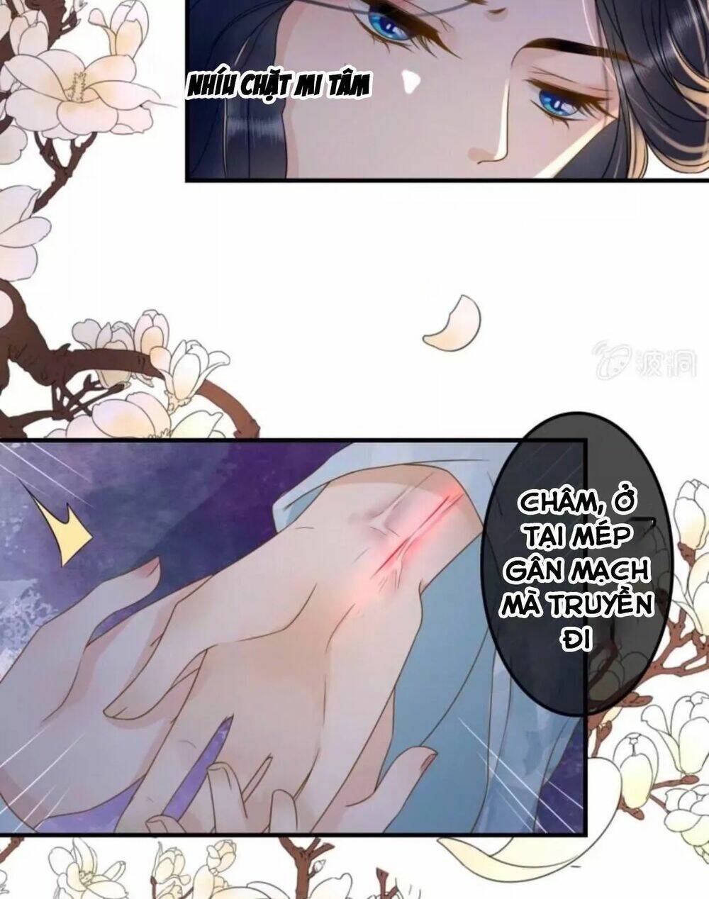sủng phi của vương chapter 106 3