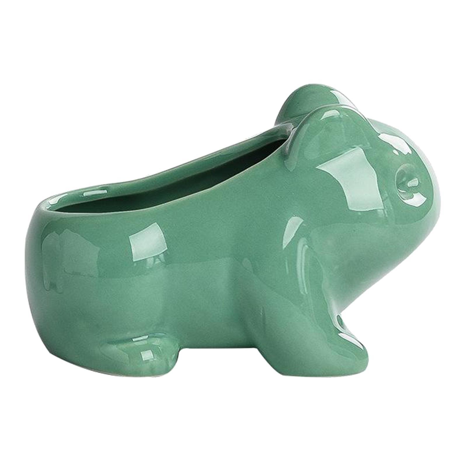 Cute Cartoon Frog Shaped Ceramic Succulent Cactus  Pot Decor M