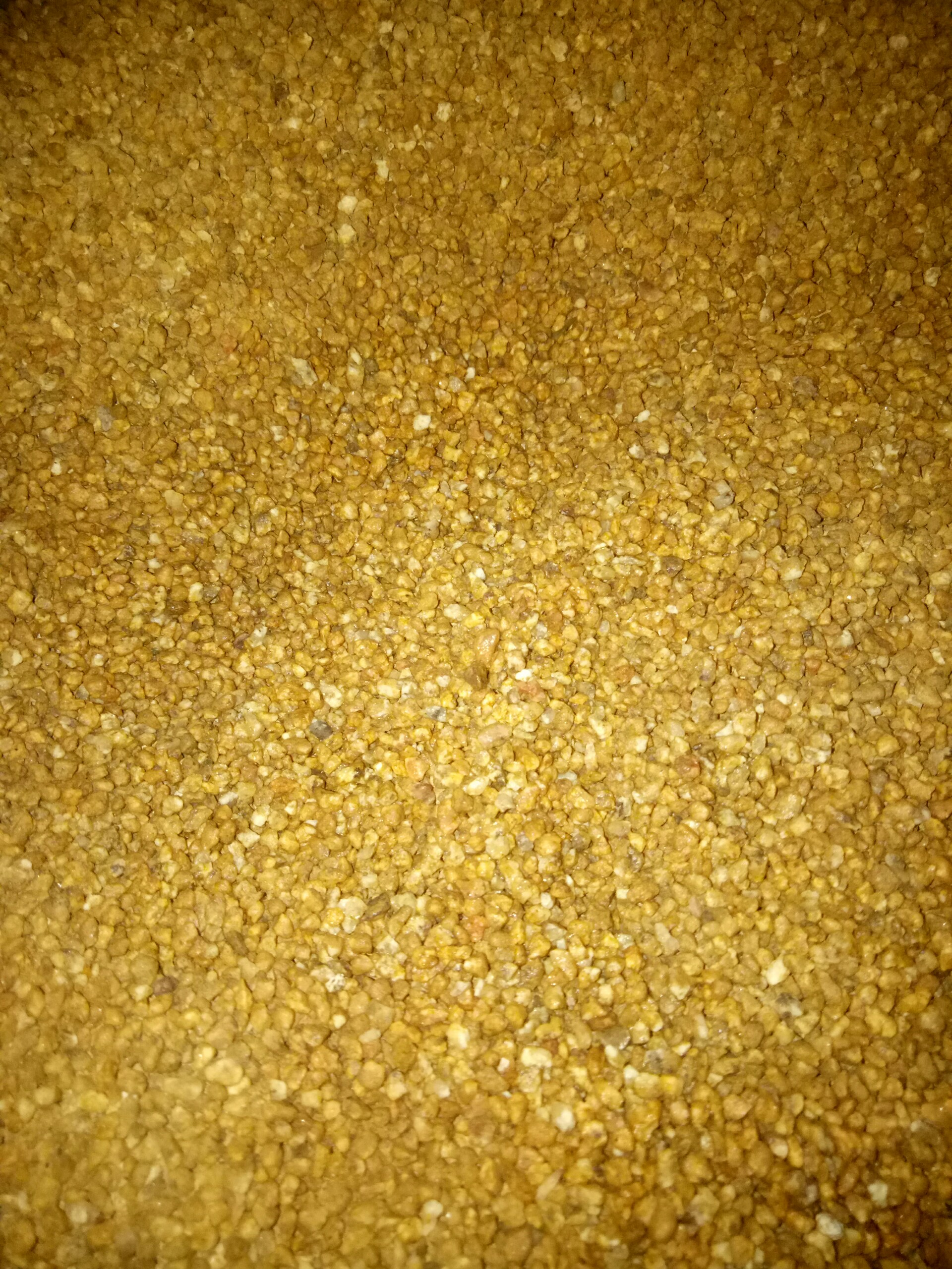 Đá masato rải mặt cho sen đá 1kg | Hera Garden
